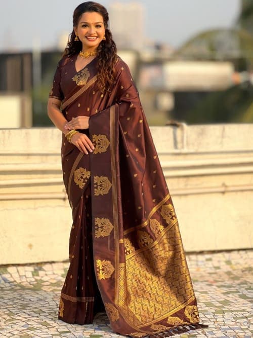Brown Ethnic Motifs Woven Design saree with Woven Design Border