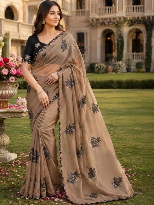 Beige Ethnic Motifs Embroidered Saree with Embroidered Border