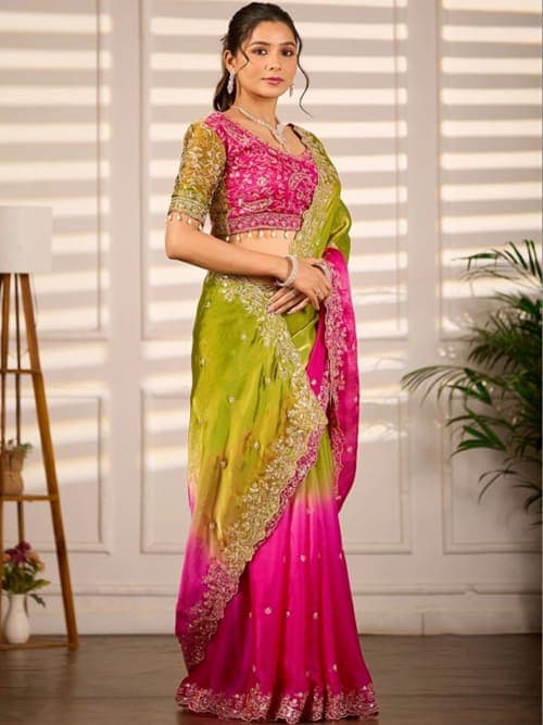 Multicoloured Fendi Satin Saree with Embroidered Border & Net Back Blouse