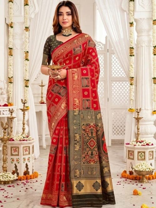 Red Woven Design Saree with Zari Border & Details